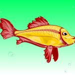 Weather and Water Temp: Keys to Planning the Perfect Spring Fishing Day