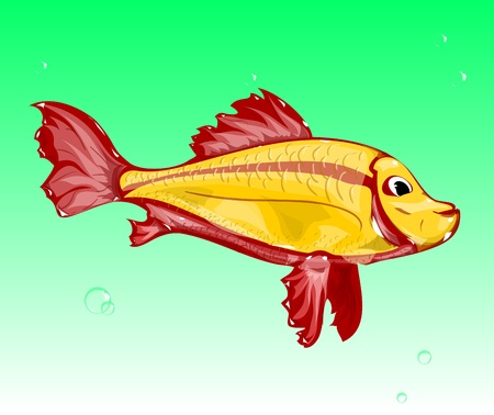 Weather and Water Temp: Keys to Planning the Perfect Spring Fishing Day