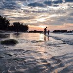 Ultimate Saltwater Fishing Guide to the Florida Keys
