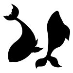 Exploring the Science of Surf Fishing: Behavior of Common Game Fish