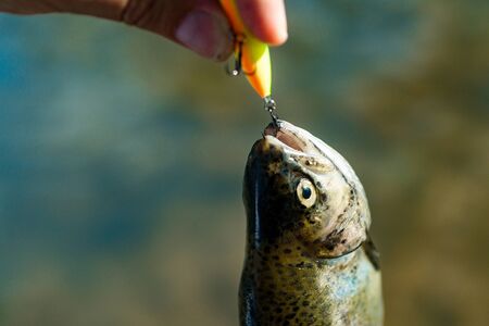 Best U.S. Lakes and Rivers for Spring Fishing Trips in 2025