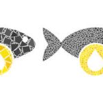 The Best Times of Year to Fish in Global Hotspots