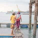 Top-Rated Offshore Fishing Charters in the Gulf of Mexico