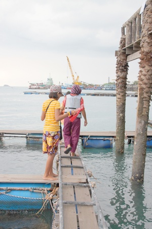 Top-Rated Offshore Fishing Charters in the Gulf of Mexico
