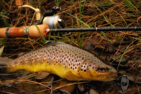 How to Build a Modular Tackle System for Multi-Species Fishing Adventures