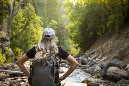 Fly Fishing in the Rocky Mountains: Top Destinations and Techniques