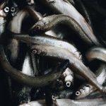 Tackle Boxes with Tech: Built-in Lighting, GPS, and Charging Stations Explained
