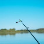 The Science Behind Speed: How Trolling Speed Affects Your Catch Rate