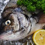 Advanced Electronics and Sonar Readings for Targeting Walleye: A Pro’s Approach