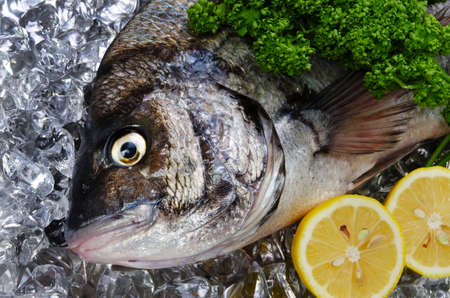 Advanced Electronics and Sonar Readings for Targeting Walleye: A Pro’s Approach
