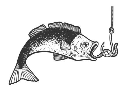 Choosing the Right Lures and Baits