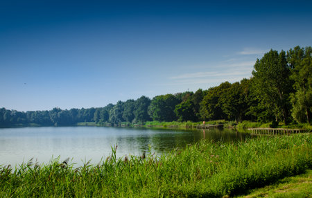 Stillwater Fly Fishing: Lakes, Ponds, and Warmwater Fly Strategy