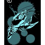 Fly Fishing for Trout in the American West: Rivers, Seasons, and Strategies