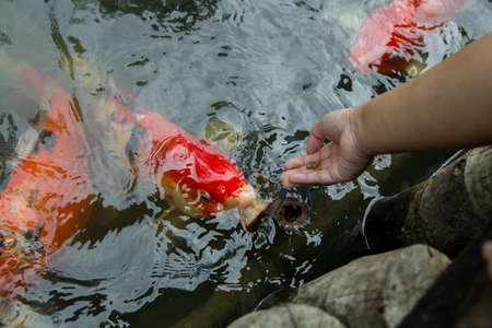 Learning to Identify Feeding Zones by Surface Disturbances