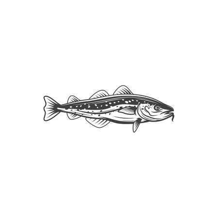 Reading the Water: Locating Fish in Stillwater
