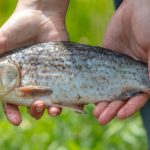 S is for Safety: What Every Beginner Angler Should Know to Stay Safe