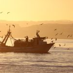 Navigating Saltwater Fishing in Georgia’s Golden Isles