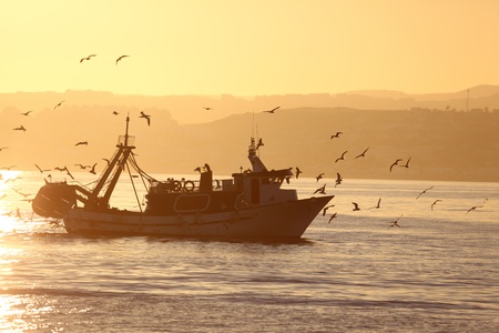Navigating Saltwater Fishing in Georgia’s Golden Isles