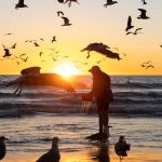 Top Surf Fishing Beaches for Saltwater Anglers in the U.S.