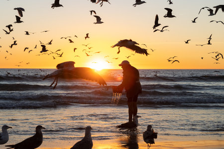 Top Surf Fishing Beaches for Saltwater Anglers in the U.S.