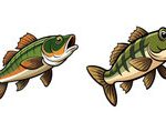Seasonal Fishing and Camping Trips: Where to Go and What to Catch