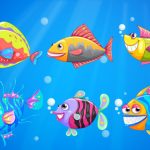 Choosing the Right Fishing Line for Freshwater vs Saltwater: A Complete Breakdown