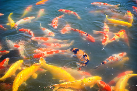 Fishing During the Dog Days of Summer: How to Trigger Bites