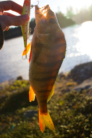 Women Who RV and Fish: Stories from the Road