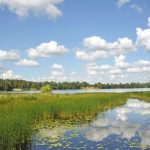 Top Fishing-Centric Campgrounds with Boat Access