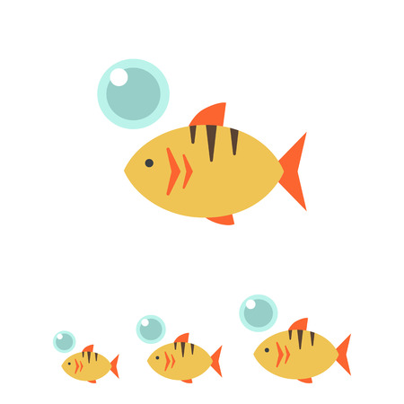 Common Fish Species and Their Habitat Preferences
