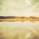 Winter Fishing with Sonar: Ice Fishing Tactics for Locating Fish with Electronics
