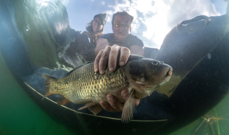 Top Fly Reels for Fly Fishing in Montana, Colorado, and Other US Hotspots