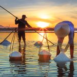 Best Reels for Ice Fishing: Cold-Weather Picks for Hardcore US Anglers