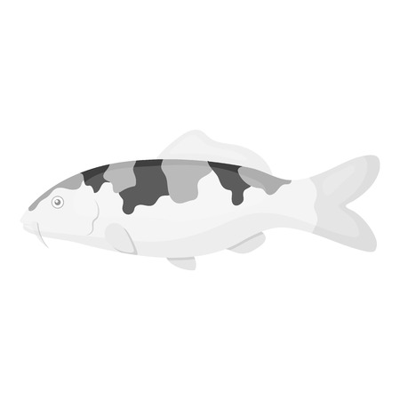 Catching Southern Classics: Target Species and Techniques