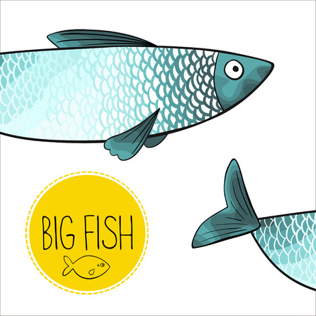 Catch and Cook: RV-Friendly Recipes for Fresh Fish on the Go