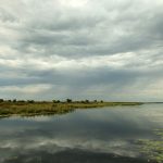 The Complete Guide to Tarpon Fishing in the U.S.: From Florida to Texas