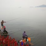 Mastering Fish Finders: A Deep Dive into Sonar Technology for Expert Anglers
