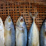Top Guided Fishing Charters in Florida: A Complete Angler’s Guide
