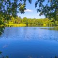 Seasonal Trout Fishing: How Rainbow, Brook, and Brown Trout Behave Throughout the Year