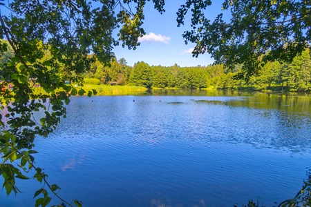 Seasonal Trout Fishing: How Rainbow, Brook, and Brown Trout Behave Throughout the Year