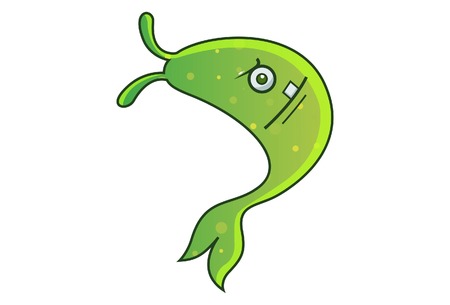 Bait Selection and Presentation Techniques