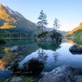 Essential Gear for the Perfect Camping and Fishing Combo Experience