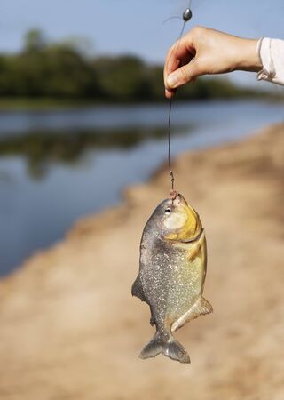 How to Handle and Release Fish Safely in Hot Weather