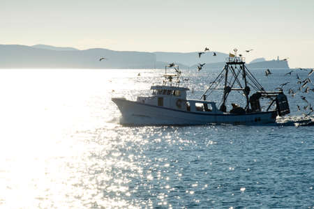 D is for Dock Fishing: Beginner Tips for Fishing from Shore and Docks
