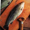 Summer Catfish Action: Best Baits, Locations, and Techniques