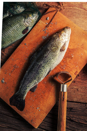 Summer Catfish Action: Best Baits, Locations, and Techniques