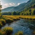 Fly Fishing for Smallmouth Bass: Tactics for Rivers, Streams, and Lakes