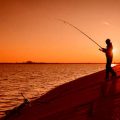 High-Performance Reels for Big Game Fishing: What US Anglers Need to Know
