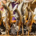 Choosing the Right Gear for Spring Fishing: Rods, Reels, and Line