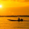 Summer Saltwater Fishing: Tactics for Inshore and Offshore Success